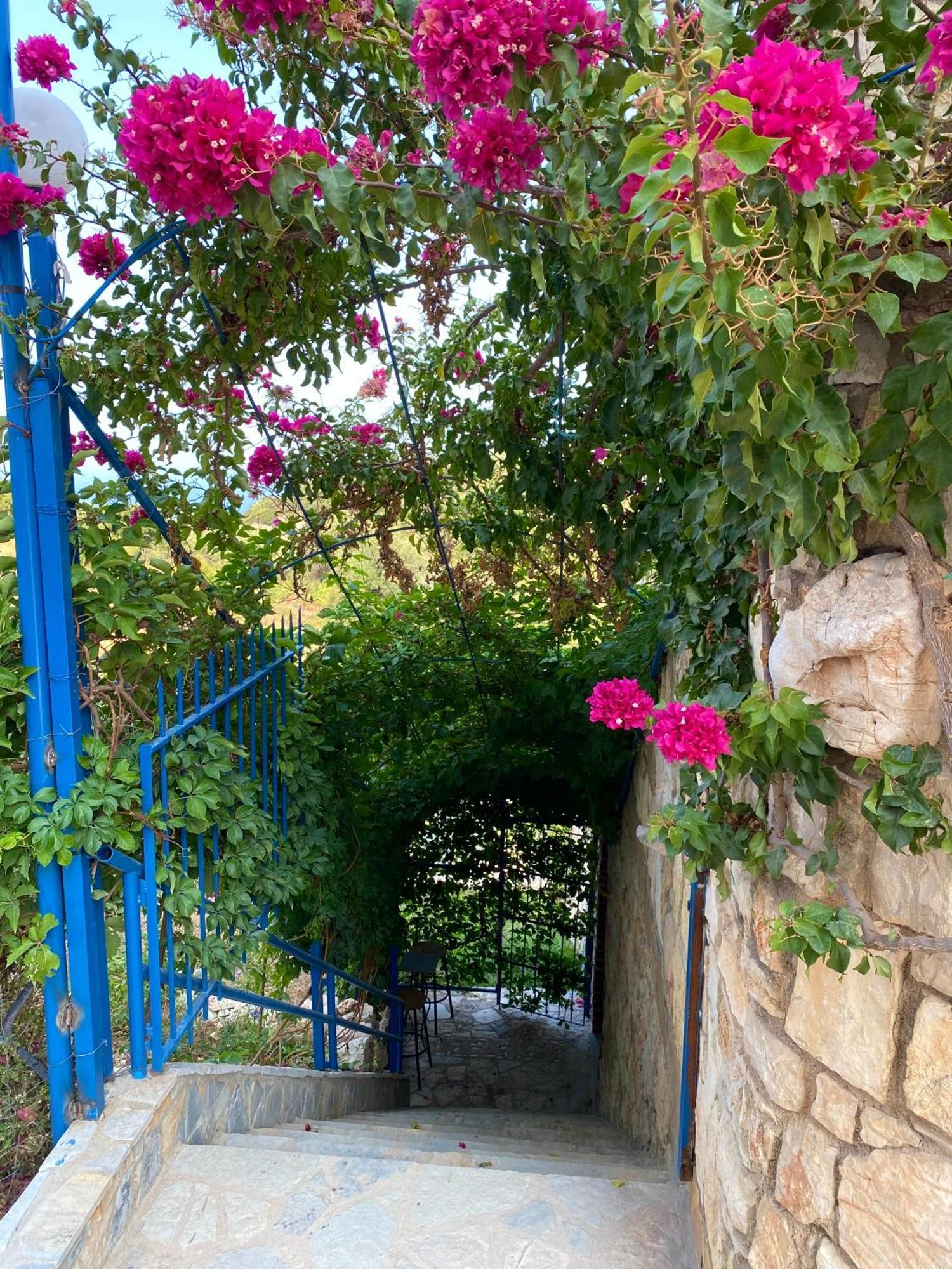 Itaka Summer Rooms Lukova Exterior foto